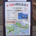 February 21, 2019(平成31年2月21日)Mito Kairakuen Plum Flowering Information