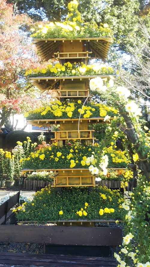 Five-storied pagoda of chrysanthemum, Kasama chrysanthemum festival "Kasama Inari Shrine"2