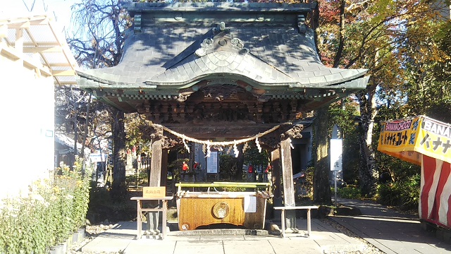 Chozuya, Kasama Chrysanthemum Festival "Kasama Inari Shrine"手水舎,笠間菊まつり”笠間稲荷神社”1