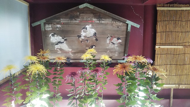 Chrysanthemum Festival "Kasama Inari Shrine"(菊まつり"笠間稲荷神社")27