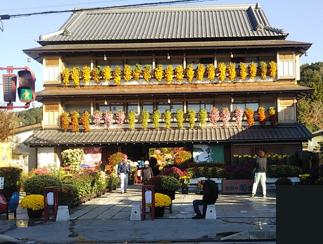 Chrysanthemum Festival "Kasama Inari Shrine"(菊まつり"笠間稲荷神社")33