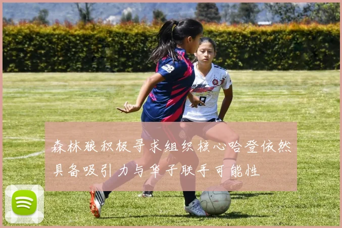 森林狼积极寻求组织核心哈登依然具备吸引力与华子联手可能性