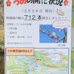 February 25, 2019(平成31年2月25日) Mito Kairakuen Plum Flowering Information
