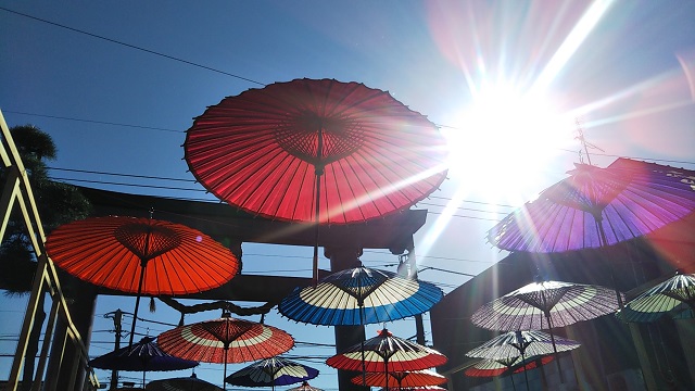 Japanese umbrella"番傘･唐傘"②