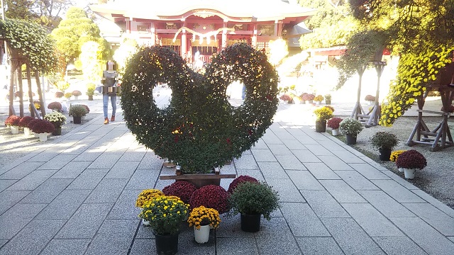 Chrysanthemum Festival "Kasama Inari Shrine"(菊まつり"笠間稲荷神社")31