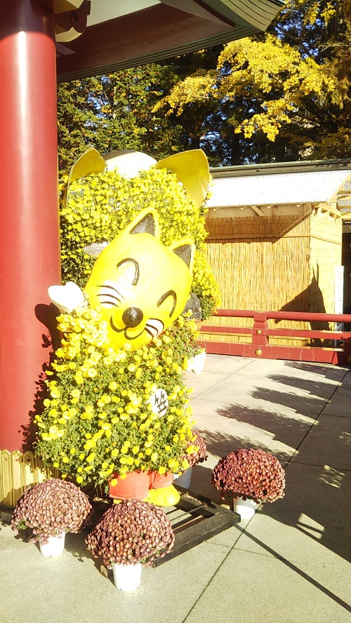 Chrysanthemum Festival "Kasama Inari Shrine"(菊まつり"笠間稲荷神社")26